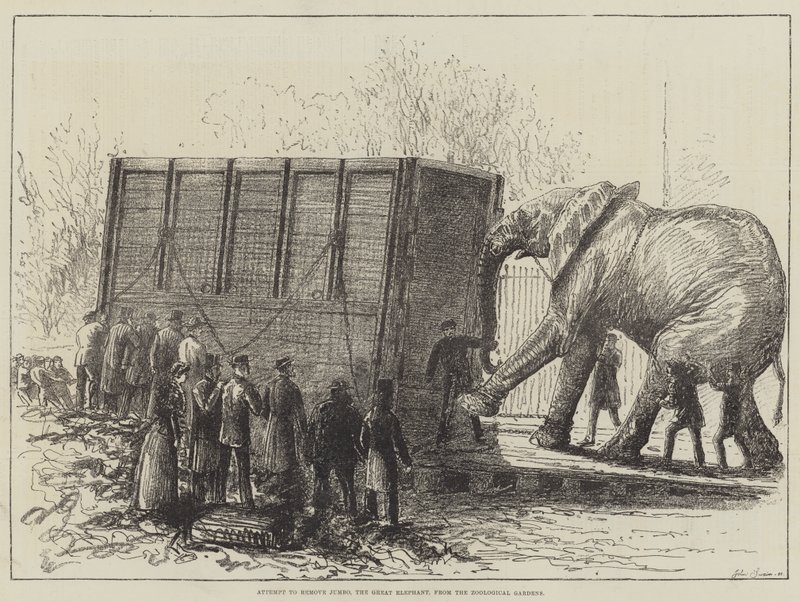 Tentative de déplacer Jumbo, le grand éléphant, du zoo (lithographie) - English School