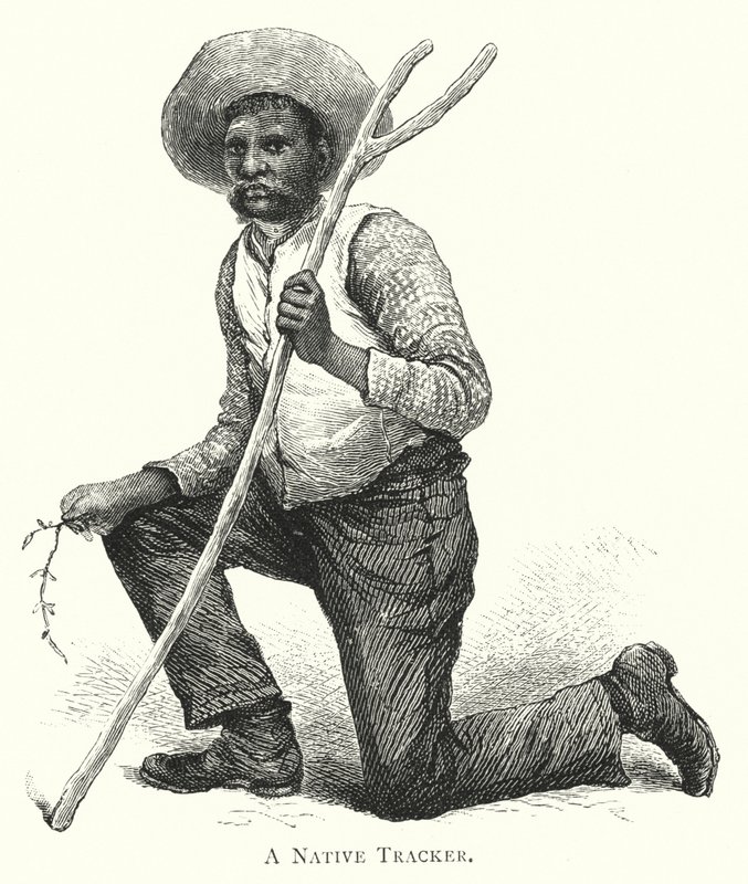 Australie : un pisteur indigène (gravure) - English School