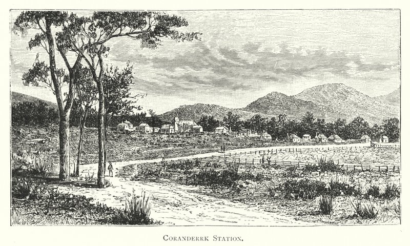 Australie : station de Coranderrk (gravure) - English School