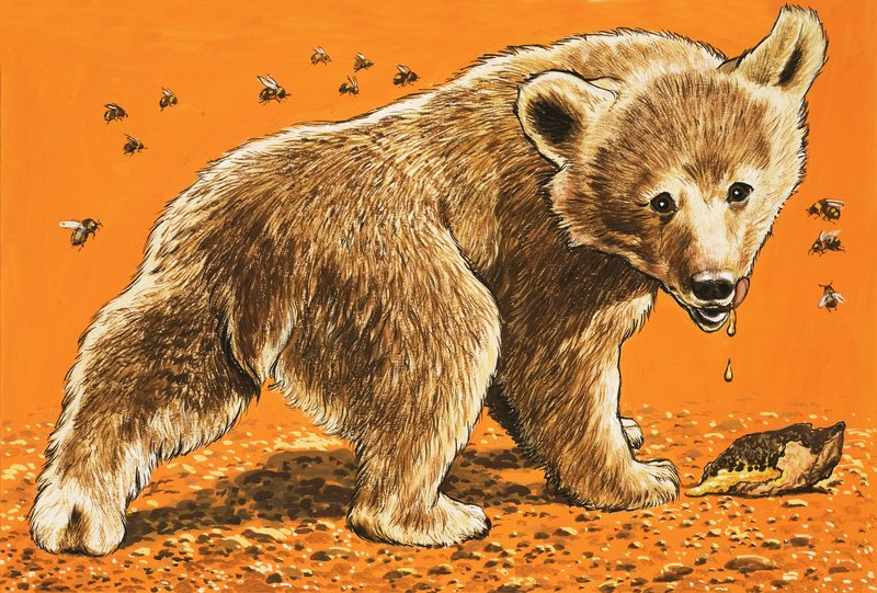 Ourson brun - English School