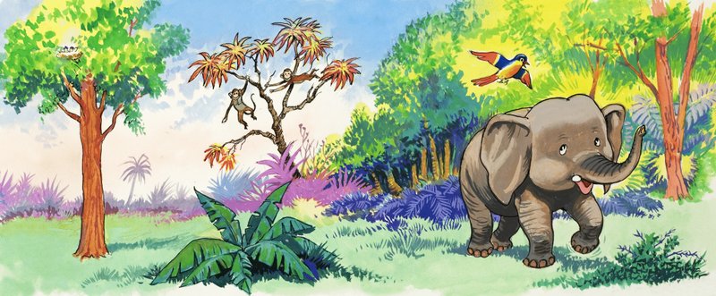 Bébé éléphant et oiseau - English School