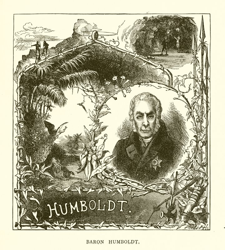 Baron Humboldt - English School