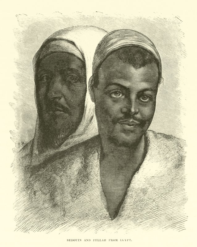 Bédouin et Fellah d