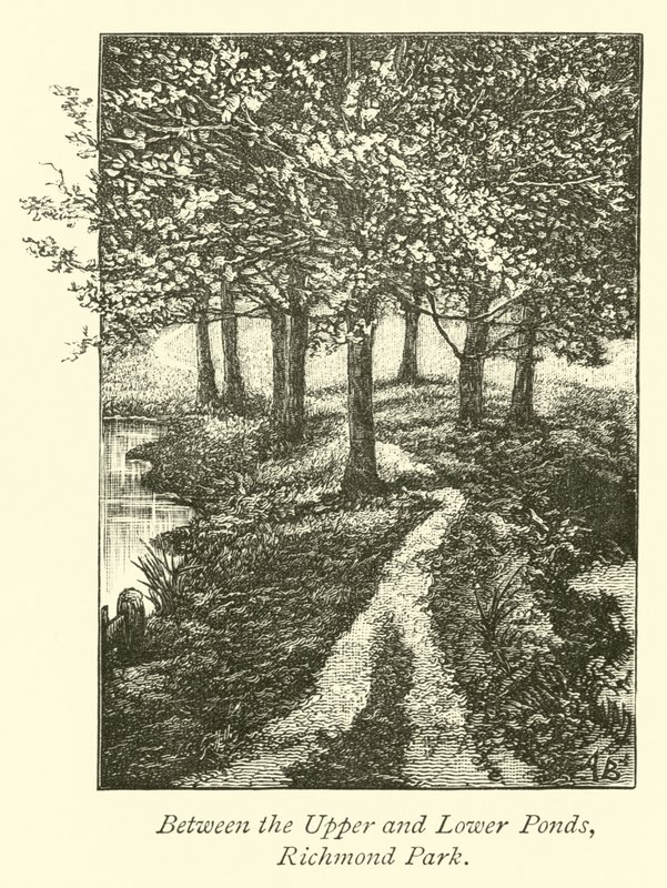 Entre les étangs supérieur et inférieur, parc de Richmond - English School