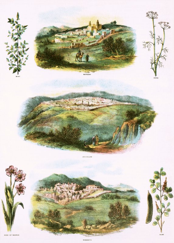 Illustrations bibliques - English School