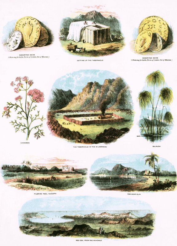 Illustrations bibliques - English School