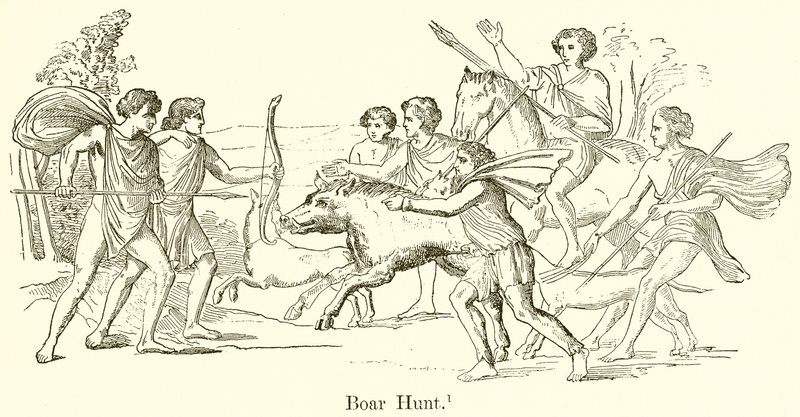 Chasse au Sanglier - English School