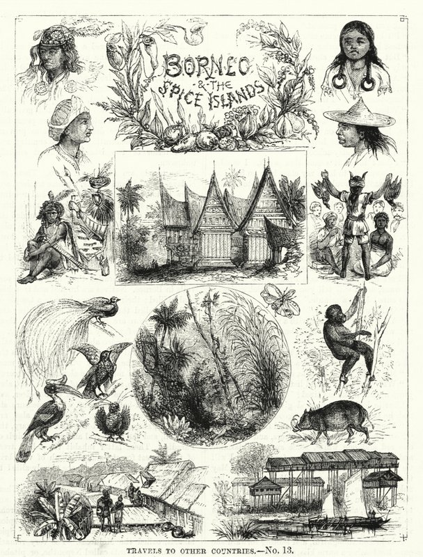 Bornéo et les îles aux épices - English School
