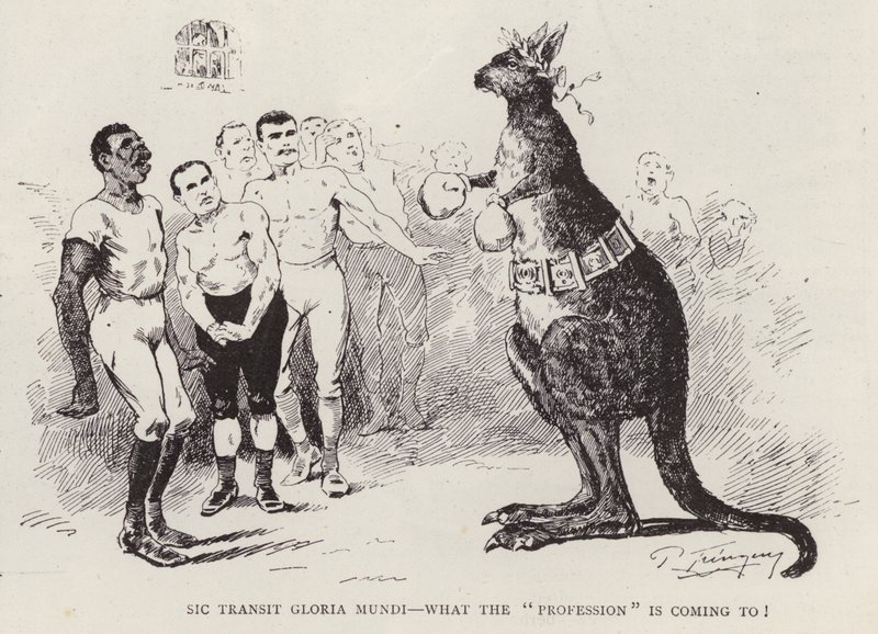 Kangourou boxeur - English School