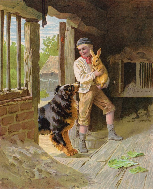 Garçon avec un chien et un lapin dans une ferme - English School