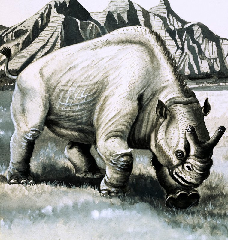 Brontotherium de l