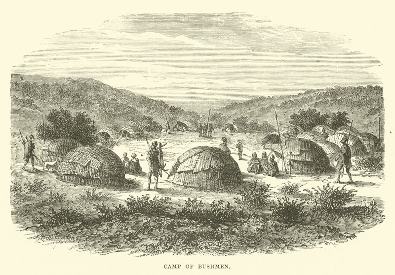 Camp de Bushmen - English School