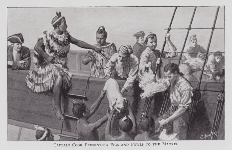Le capitaine Cook présentant des cochons et des volailles aux Maoris - English School