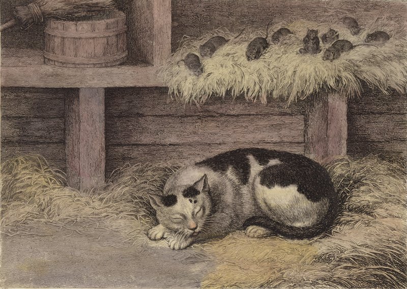 Chat et souris dans une grange - English School