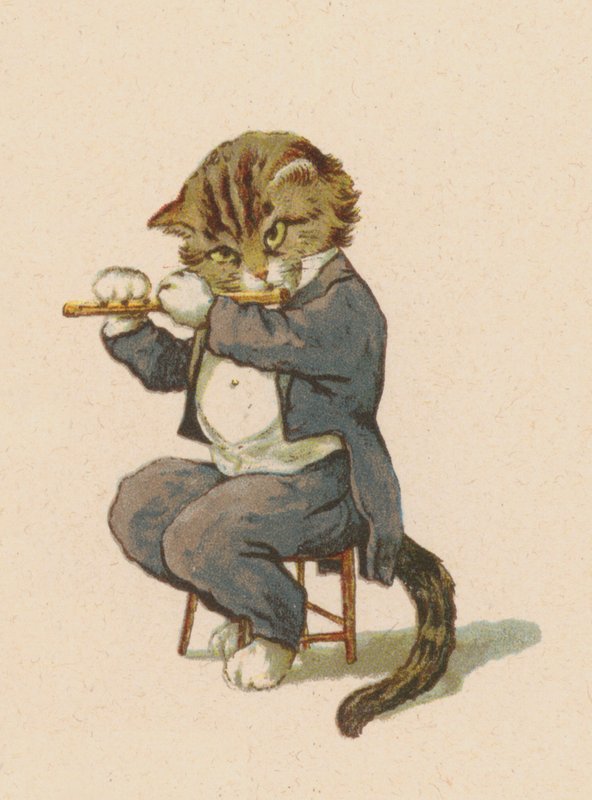 Chat jouant de la flûte - English School