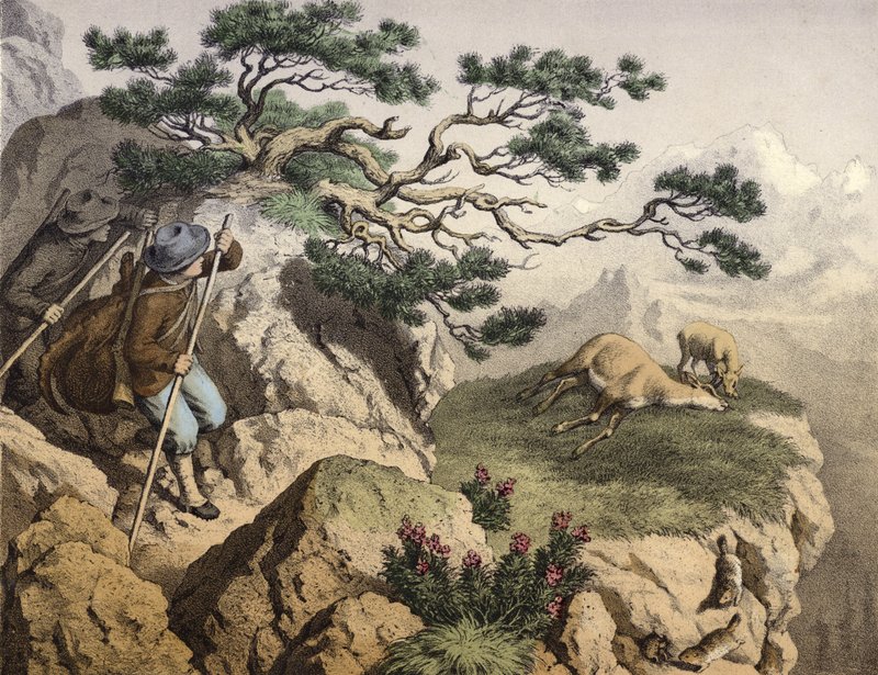 Chasseurs de chamois des Alpes, l