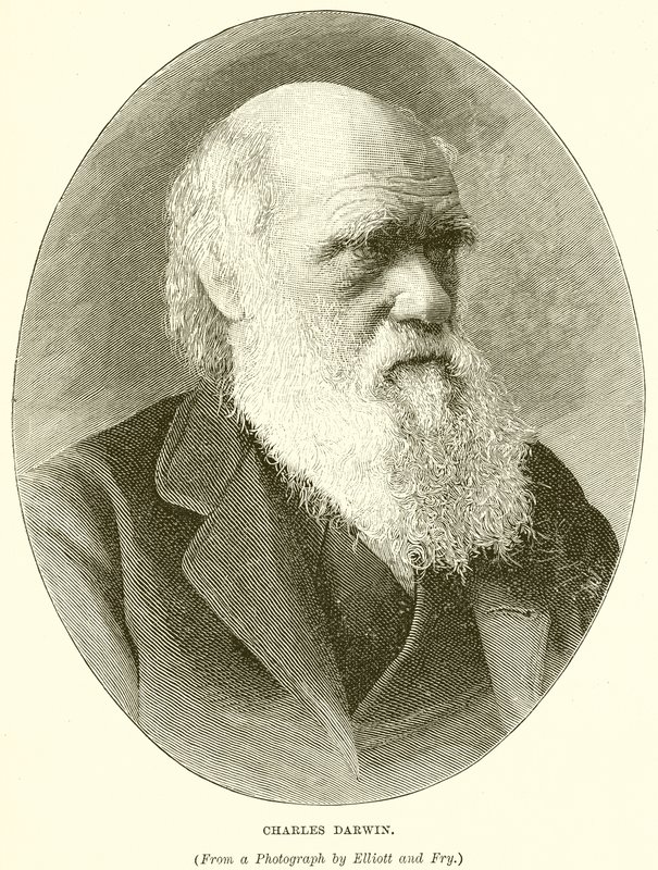 Charles Darwin - English School