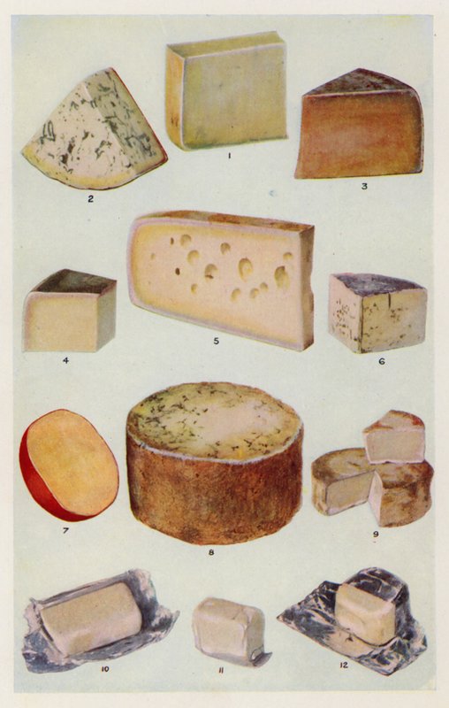 Cheddar; Gorgonzola; Double Gloucester; Parmesan; Gruyère; Roquefort; Hollandais; Stilton; Camembert; St Ives; Crème - English School