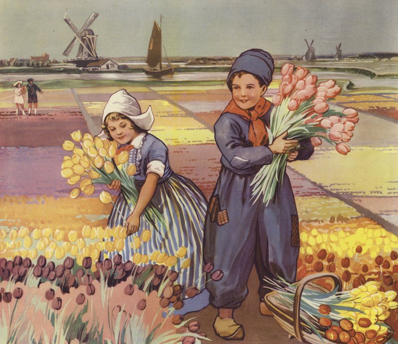 Enfants cueillant des tulipes en Hollande - English School