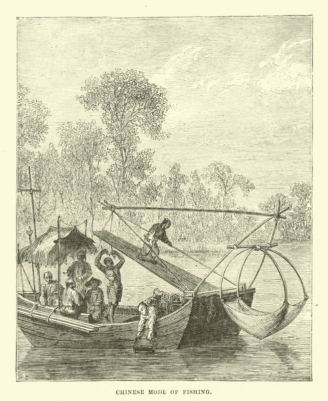 Mode de pêche chinois - English School