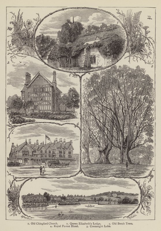 Chingford (gravure) - English School