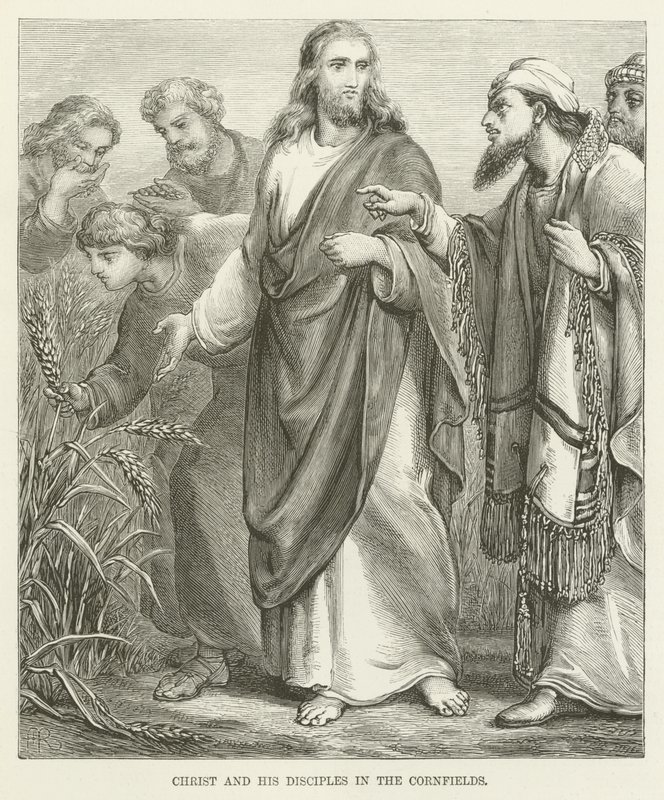 Christ et ses disciples dans les champs de blé - English School