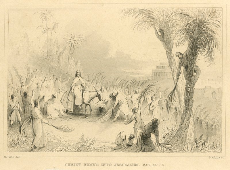 Christ entrant à Jérusalem, Matthieu XXI - English School