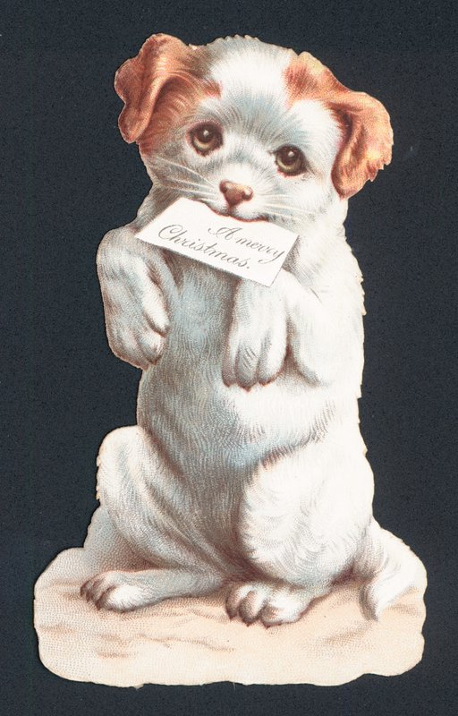 Carte de Noël avec chiot portant une carte - English School