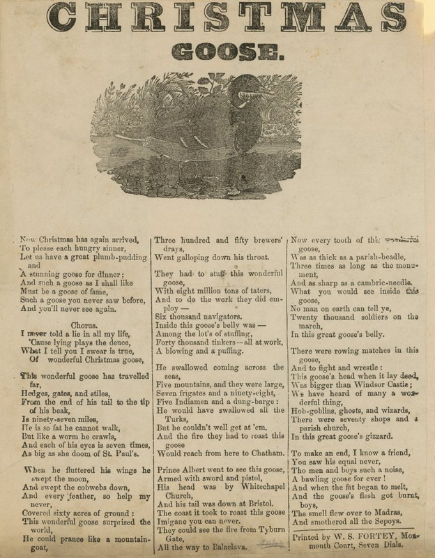Oie de Noël - English School