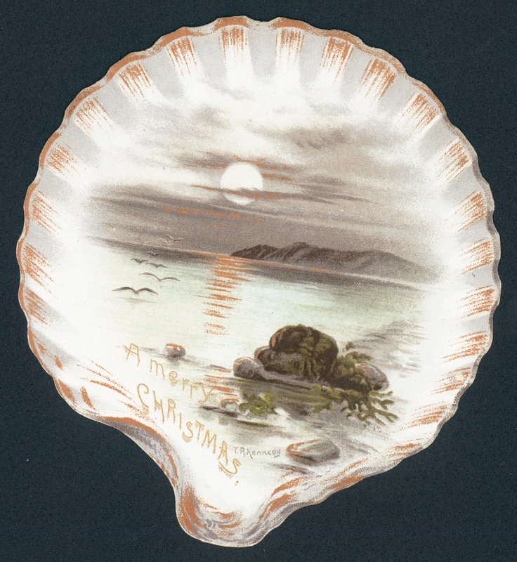 Coquille avec image de l