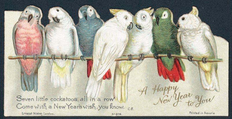 Cacatoès, Carte de Nouvel An - English School
