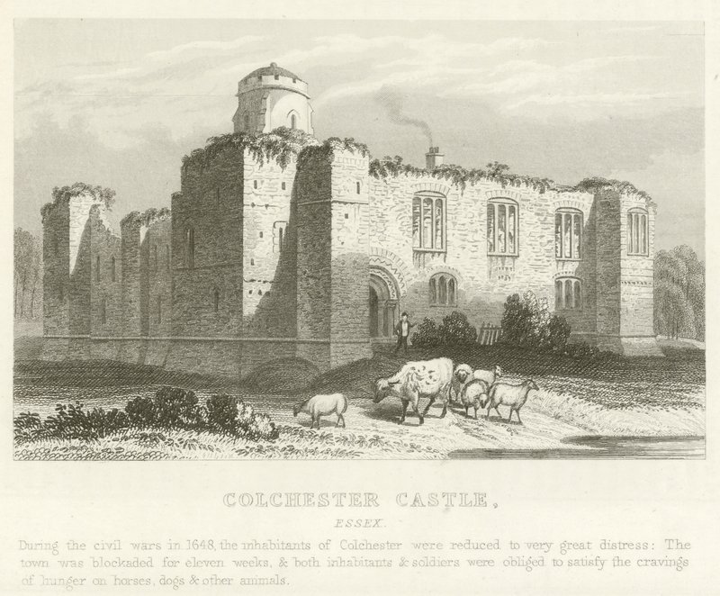 Château de Colchester, Essex - English School