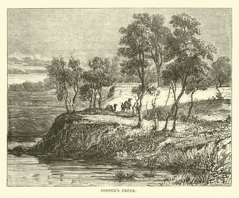 Coopers Creek - English School