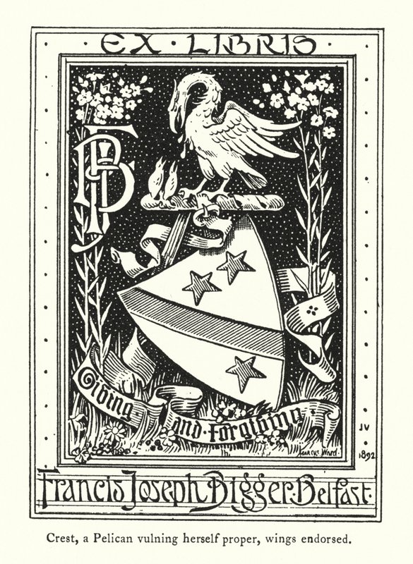 Cimier, un pélican se blessant, ailes soutenues (gravure) - English School