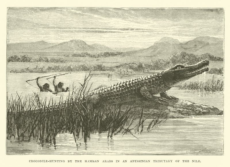 Chasse au crocodile par les Arabes Hamran dans un affluent abyssinien du Nil - English School