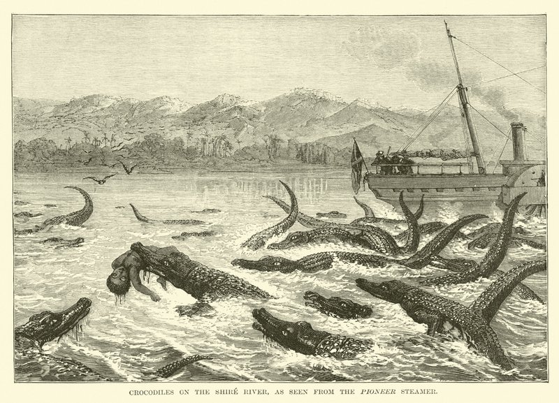 Crocodiles sur la Rivière Shire, vus depuis le Steamer Pioneer - English School