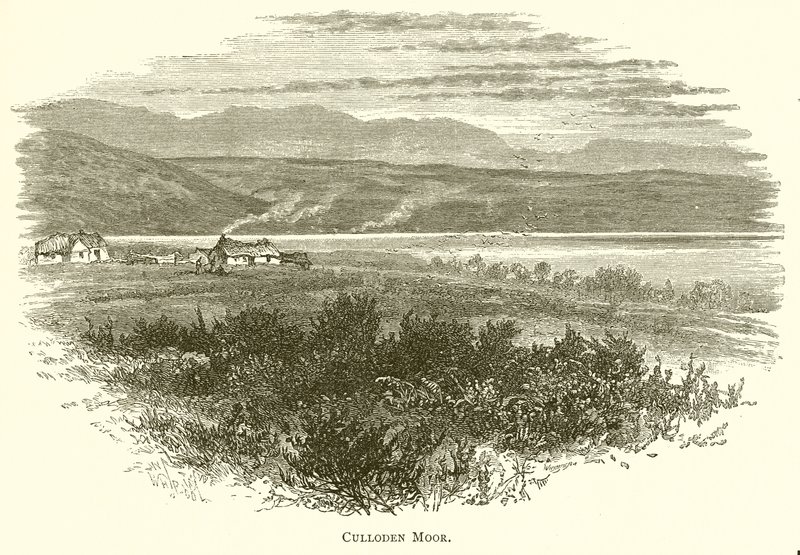 Moor de Culloden - English School