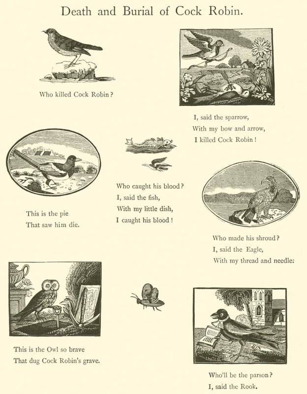 Mort et enterrement de Cock Robin - English School