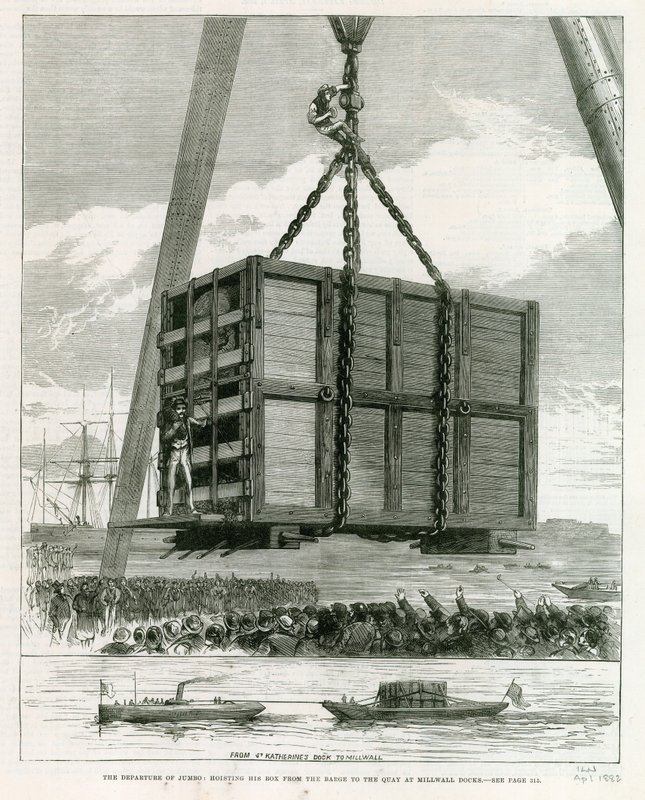 Départ de Jumbo - English School