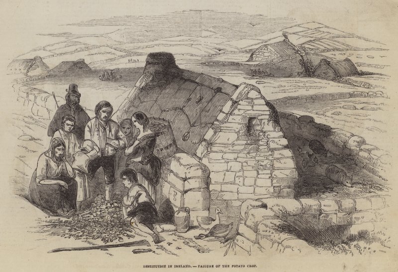 Détresse en Irlande, échec de la récolte de pommes de terre - English School