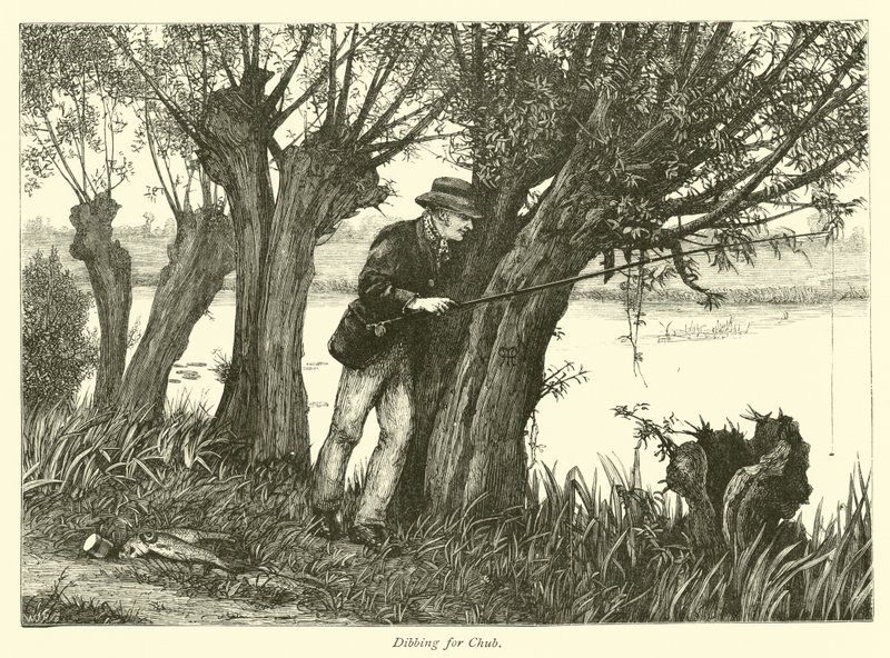 Pêche à la ligne pour le chevesne - English School