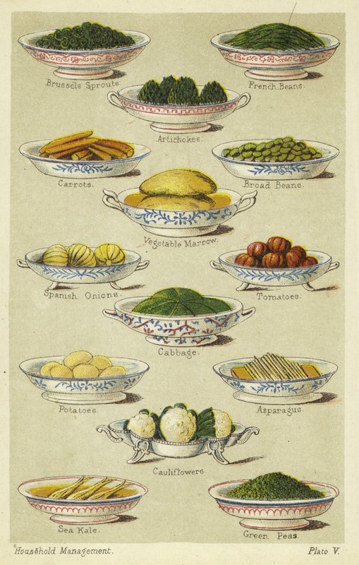 Plats de légumes - English School