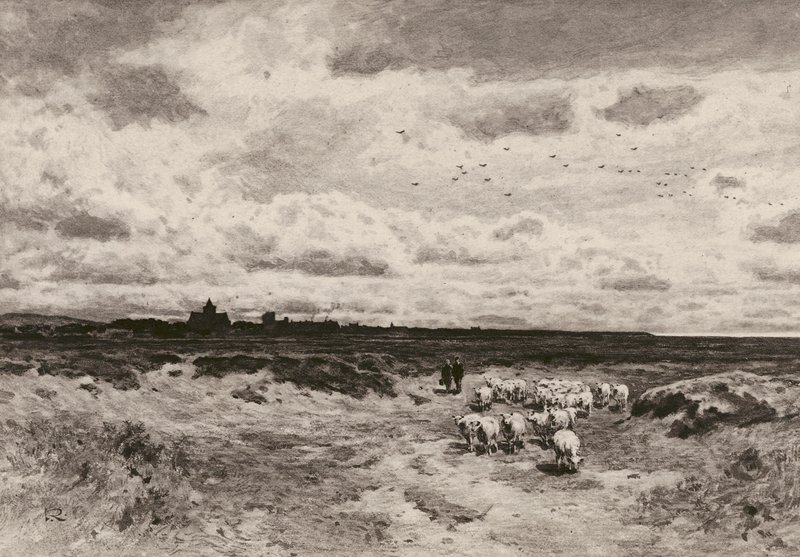 Dornoch, d