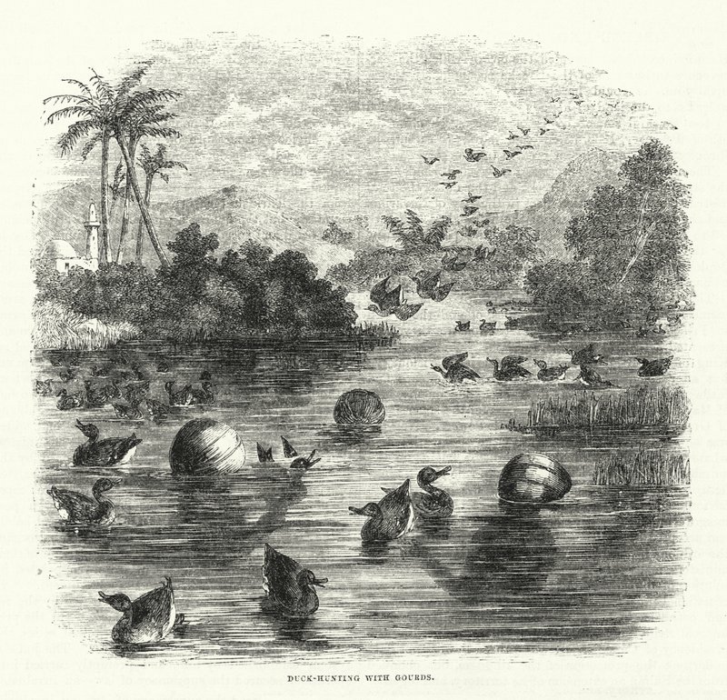 Chasse au Canard avec des Gourdes - English School