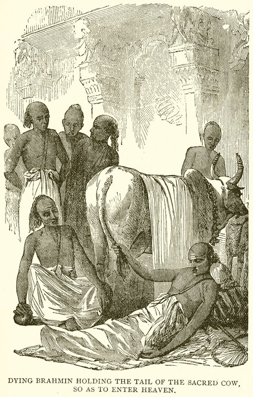 Brahmane mourant tenant la queue de la vache sacrée pour entrer au paradis - English School