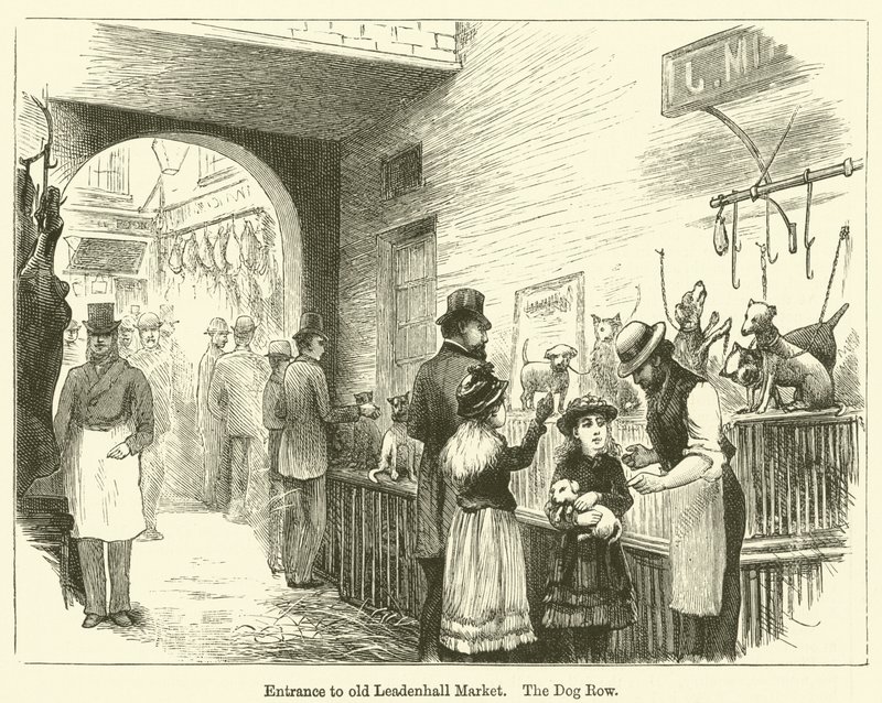 Entrée de l
