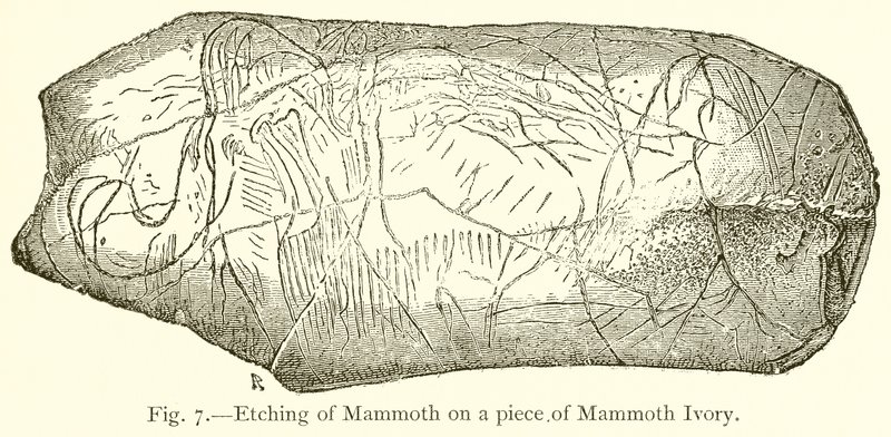 Gravure de mammouth sur un morceau d