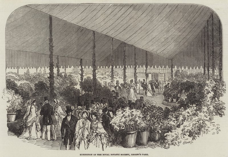 Exposition de la Société Royale de Botanique, Regent
