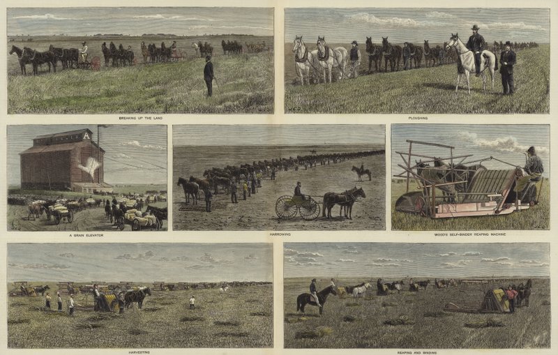 Agriculture dans les plaines d