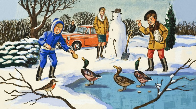 Nourrir les canards - English School